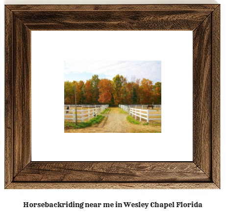 horseback riding near me in Wesley Chapel, Florida